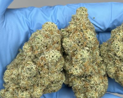 STRAWBERRY SUNSHINE (SATIVA EXOTIC) - Image 3